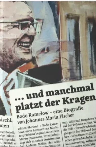 Cover: …und manchmal platzt der Kragen